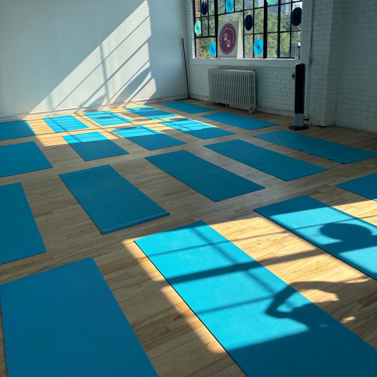 A spacious yoga studio with bright blue mats arranged neatly on a wooden floor, illuminated by sunlight streaming through large windows.