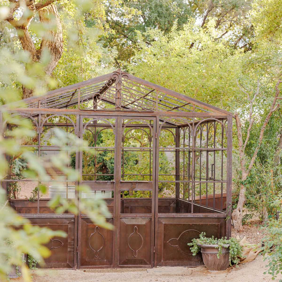 A metal-framed greenhouse is situated among lush greenery.