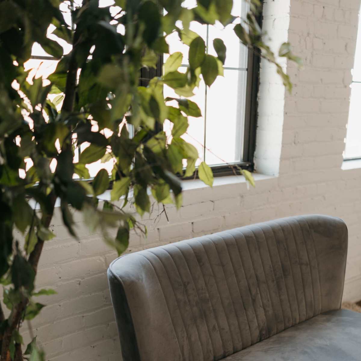Natural light photo studio in northeast Minneapolis with neutral colors and an emphasis on plants/greenery in Minneapolis Image in Northeast Minneapolis Arts District, Minneapolis, MN