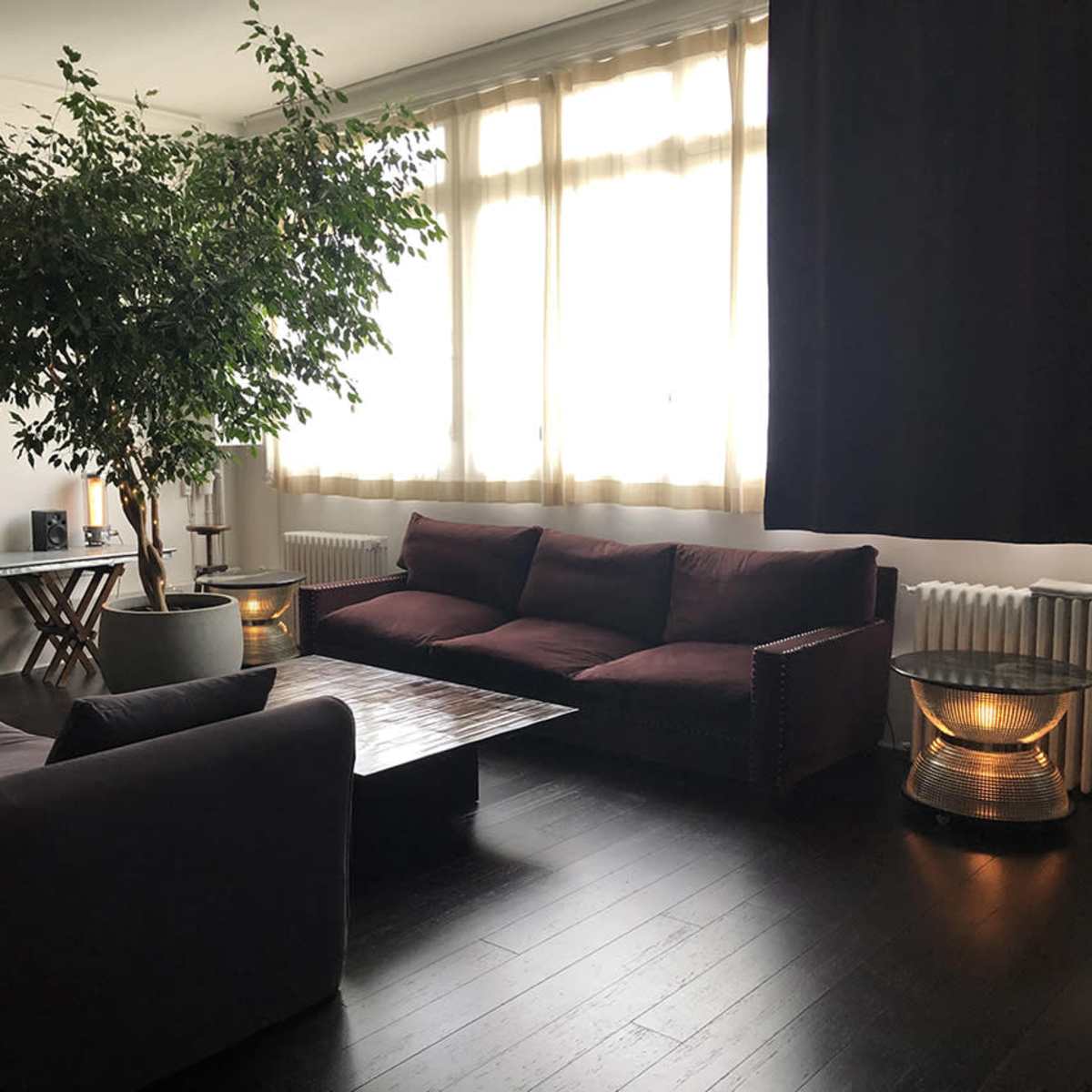 A modern living room featuring a large plant, two sofas, a coffee table, and large windows with sheer curtains.
