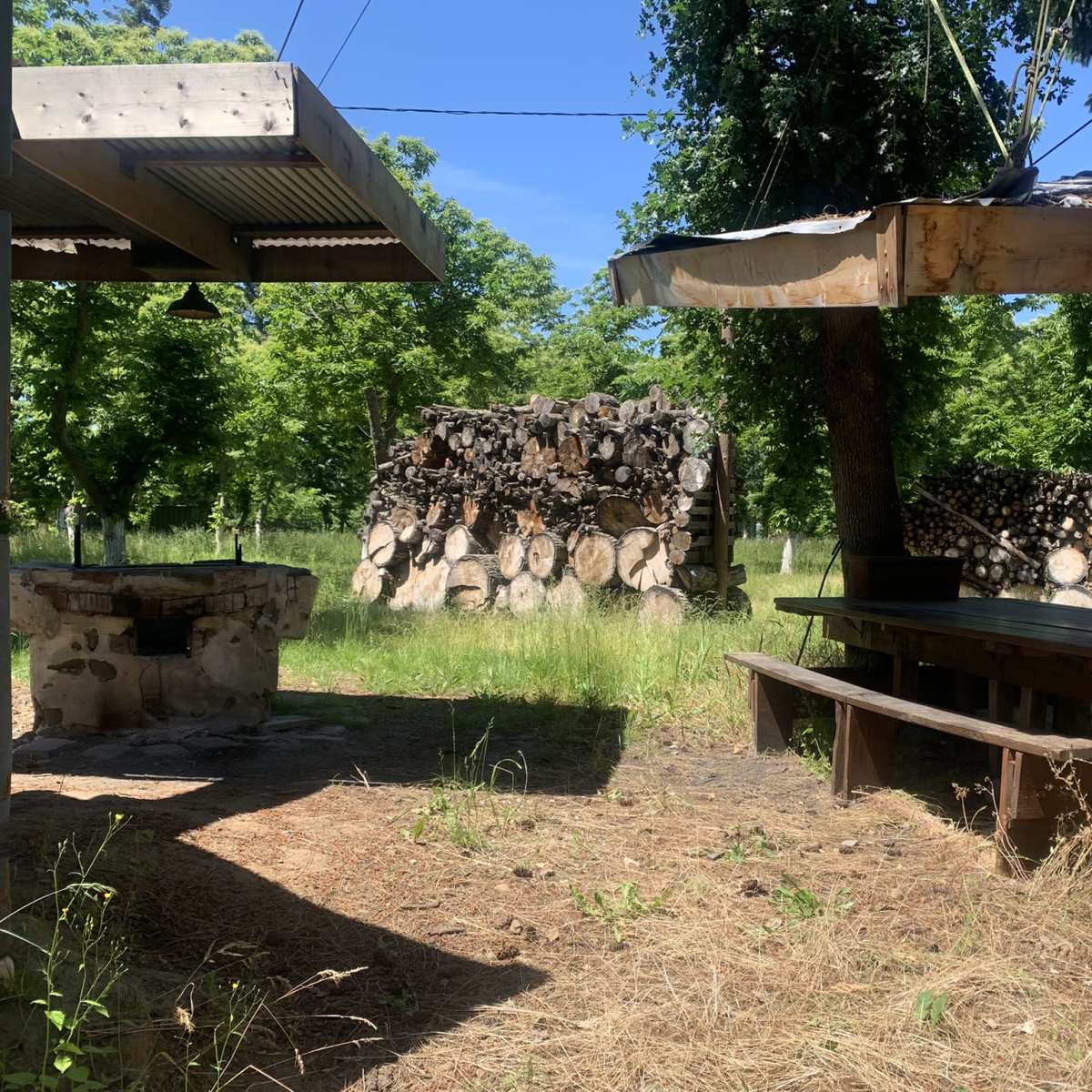 The scene depicts a grassy area with a stone fire pit, a wooden bench, and stacked logs in the background under clear blue skies.