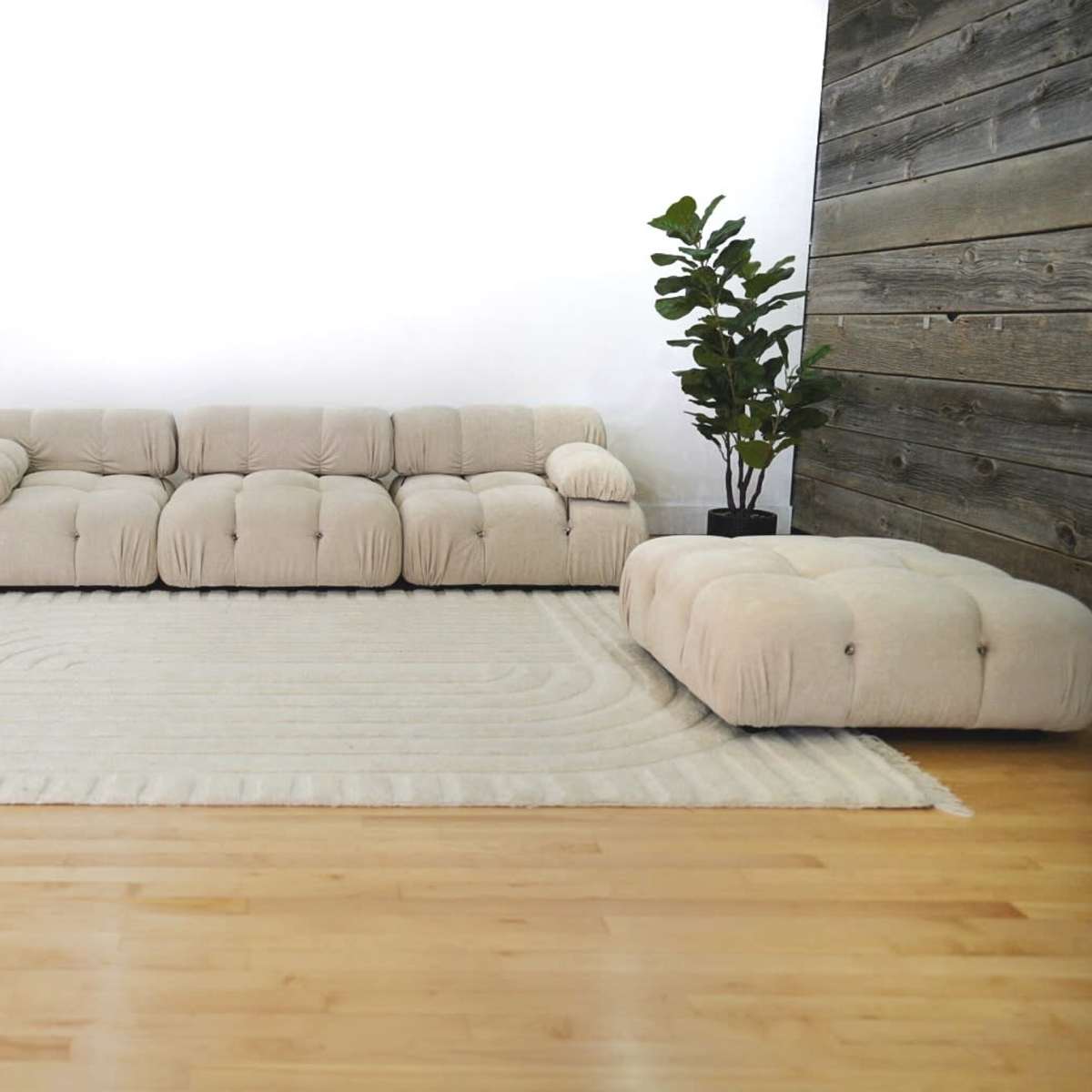 A minimalist living room featuring a light-colored, tufted sofa, a matching armchair, and a rug on a wooden floor, with a small potted plant in the corner.