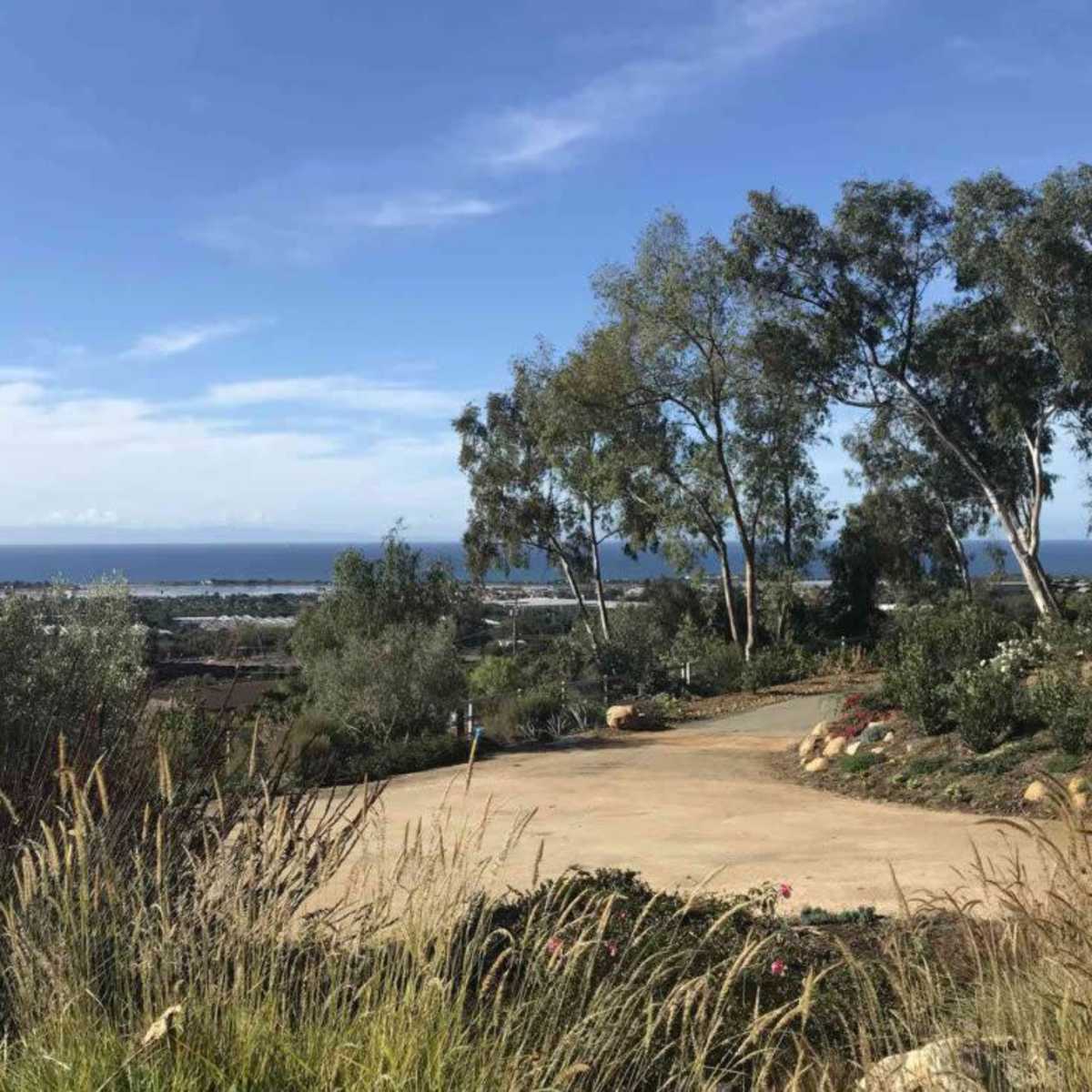 A landscape view featuring a dirt path leading towards the ocean, framed by trees and shrubs under a clear blue sky.