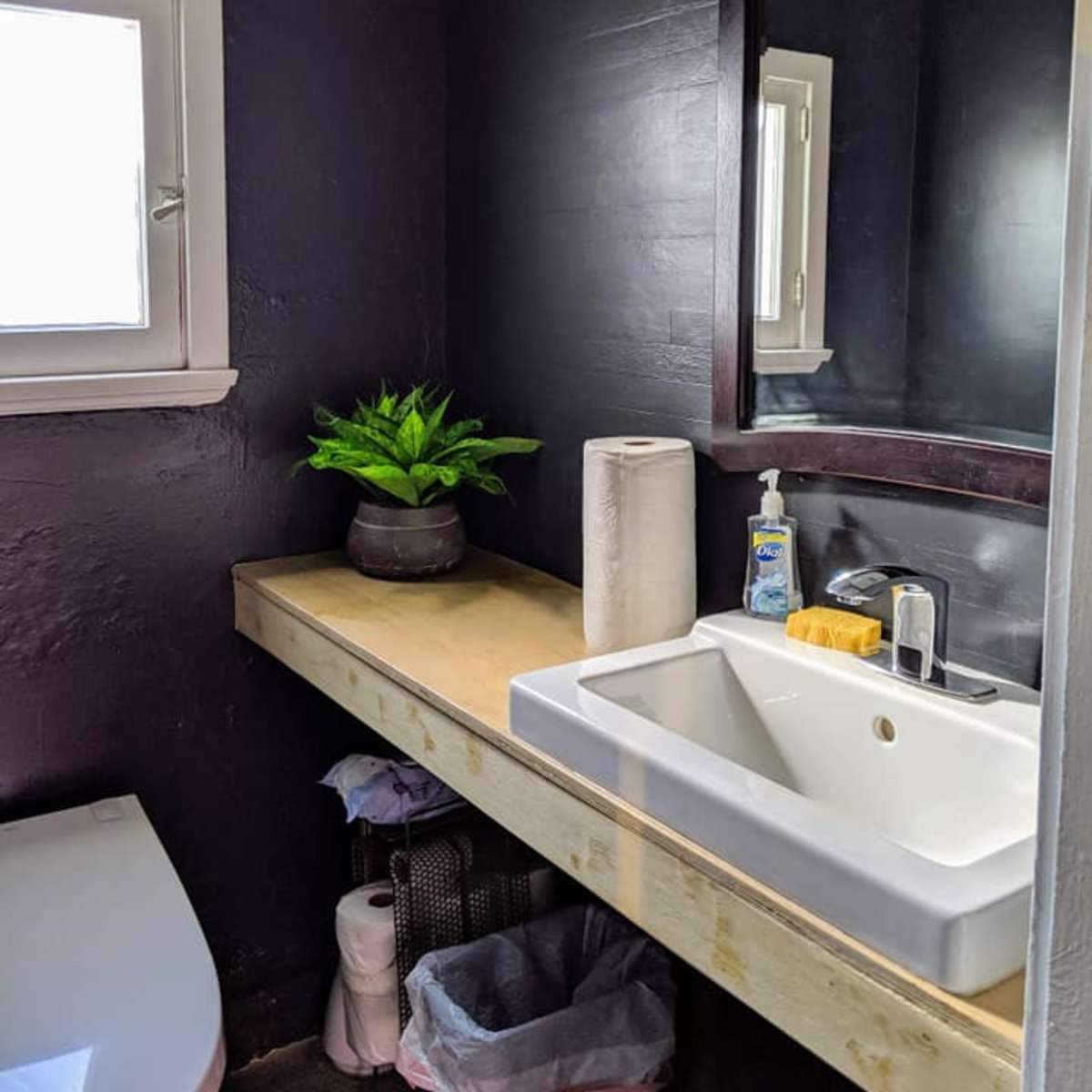 A modern bathroom features a white sink on a wooden countertop, a mirror above, a potted plant, and toiletries neatly arranged.