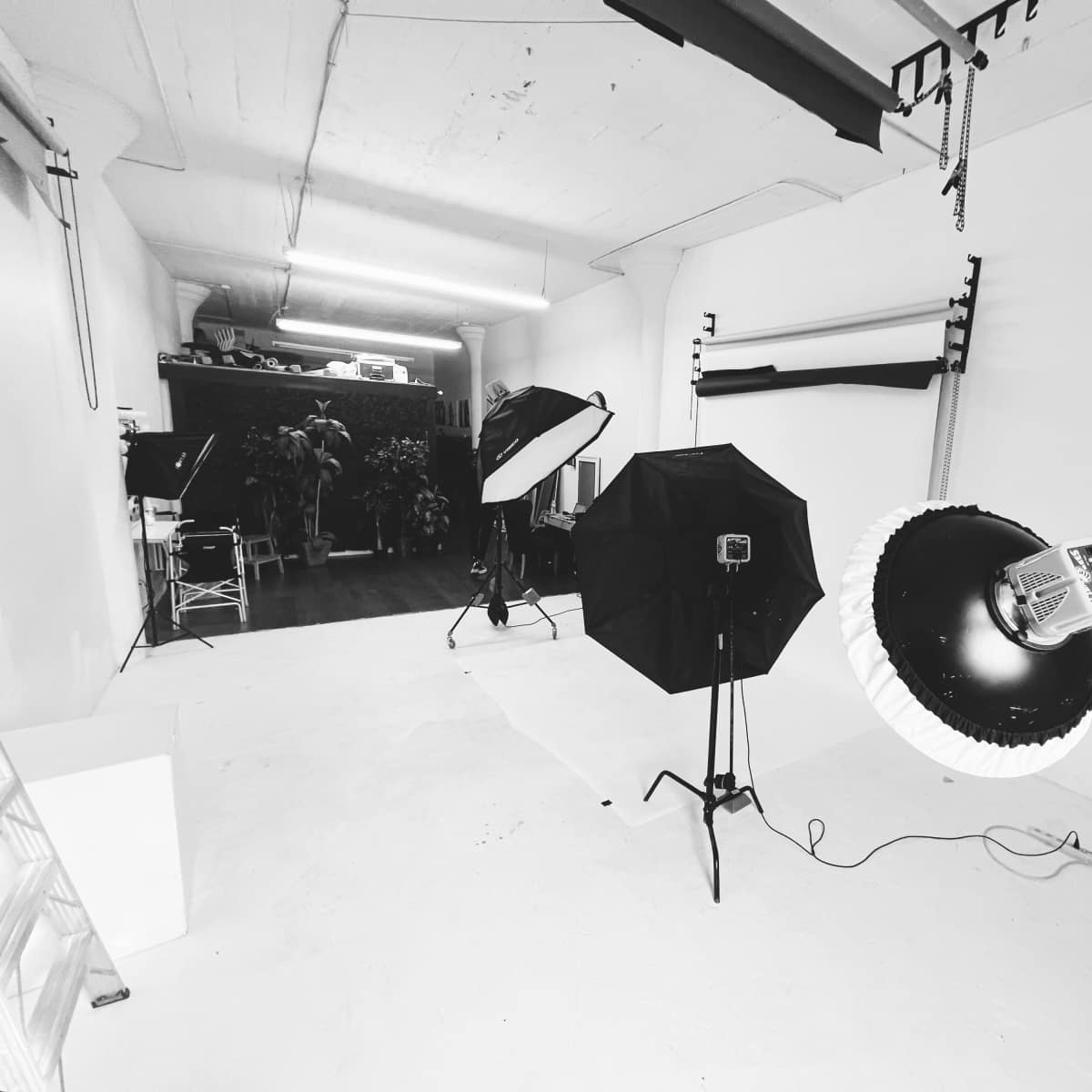 A photography studio with lighting equipment, including softboxes and a large umbrella, set up against a plain white backdrop.
