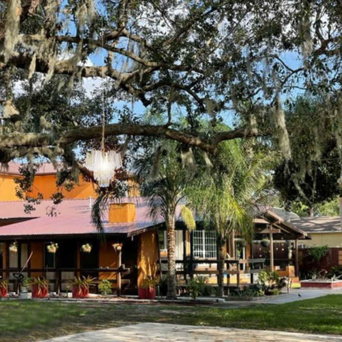 A rustic building with a red roof and hanging plants is situated under a large oak tree draped with Spanish moss.