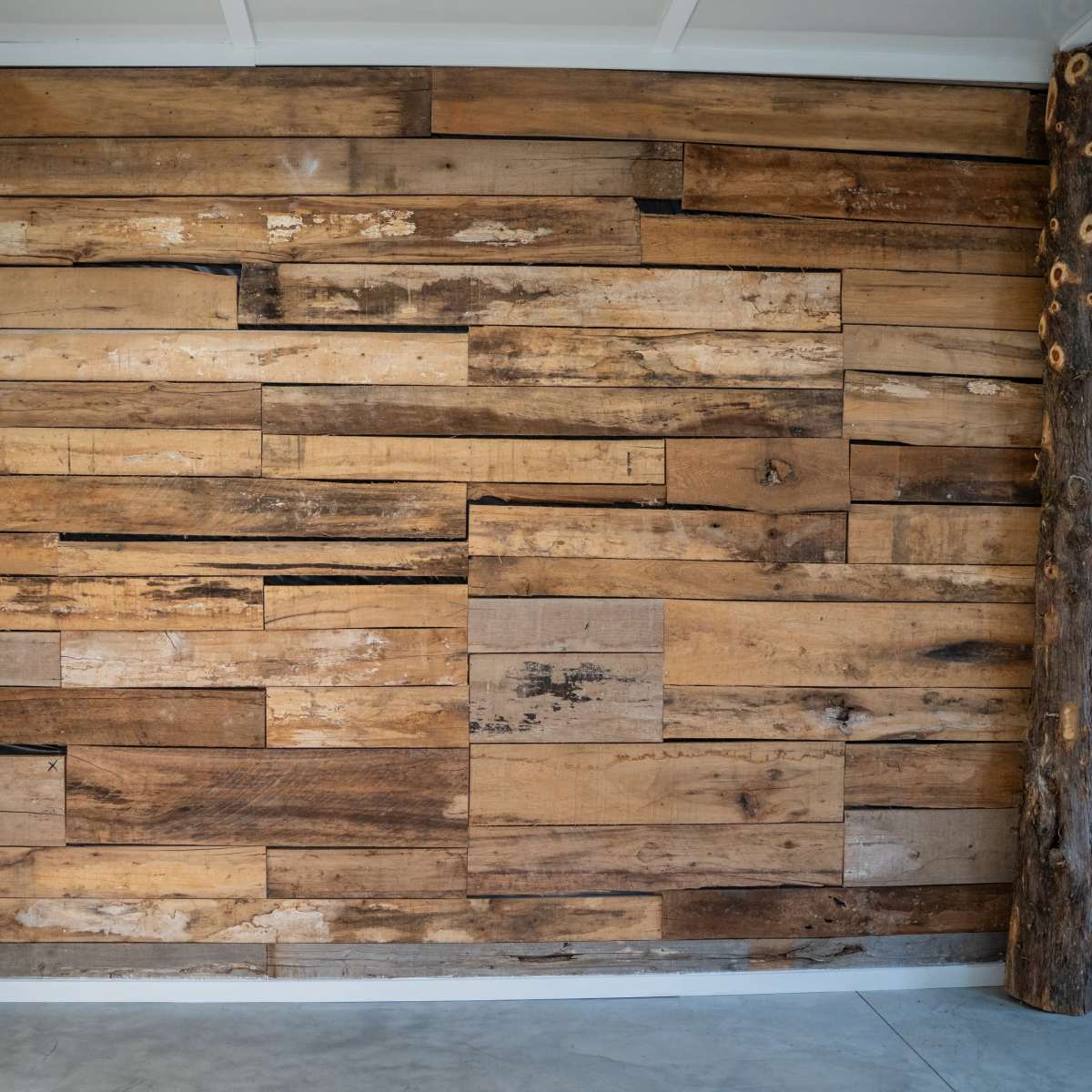 Rustic Studio with Moody Vibes in the Country in Salisbury Image in , Salisbury, NC