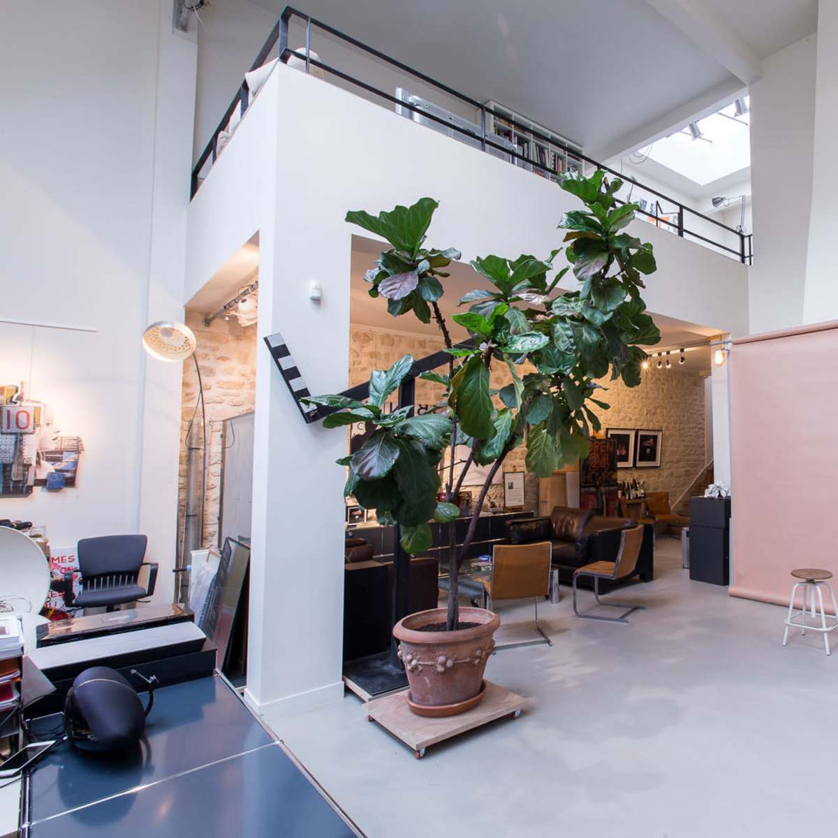 A spacious, modern interior with a potted plant, a seating area, and a backdrop for photography.