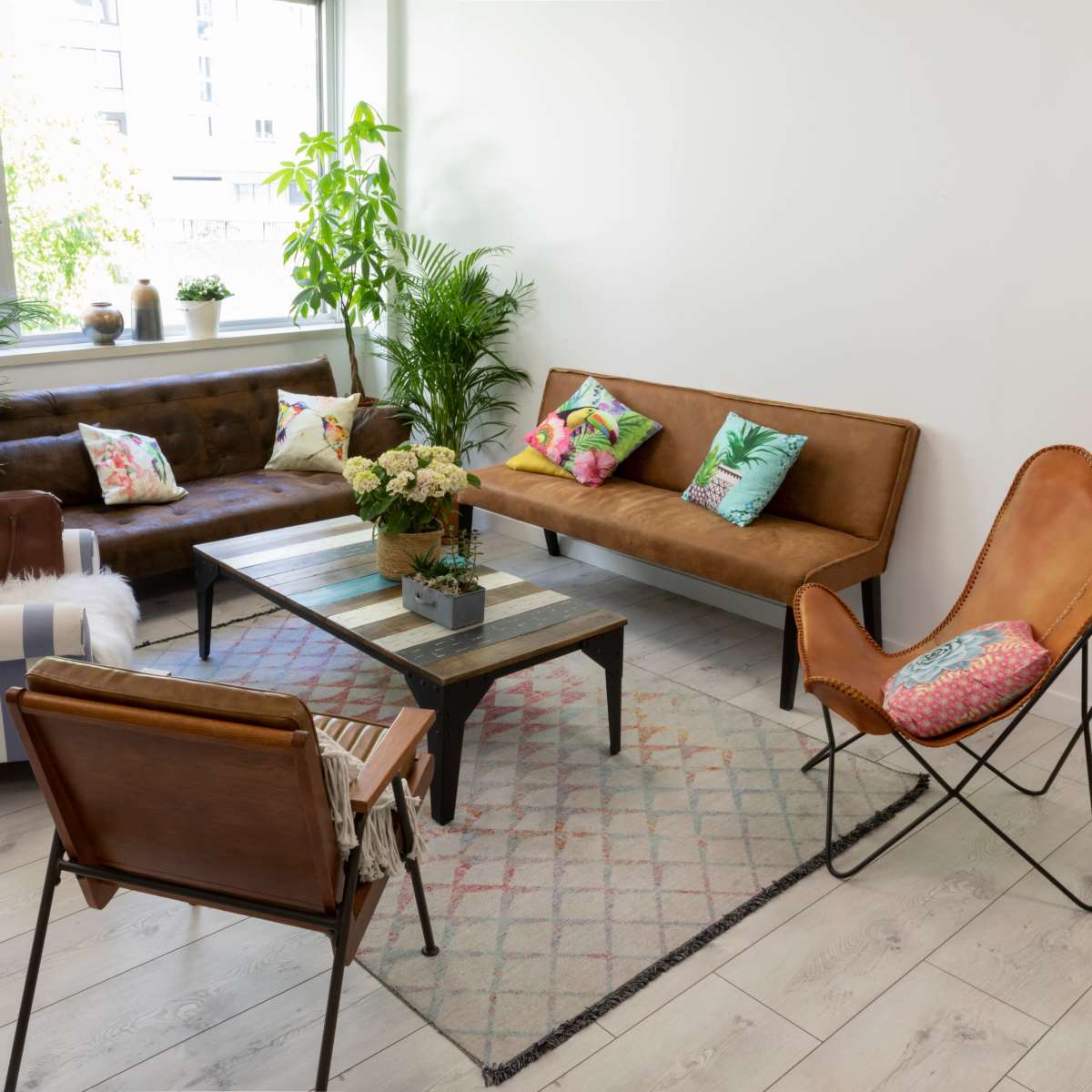 A bright living room featuring a mix of seating options, including two sofas, an armchair, and a coffee table, surrounded by various indoor plants.