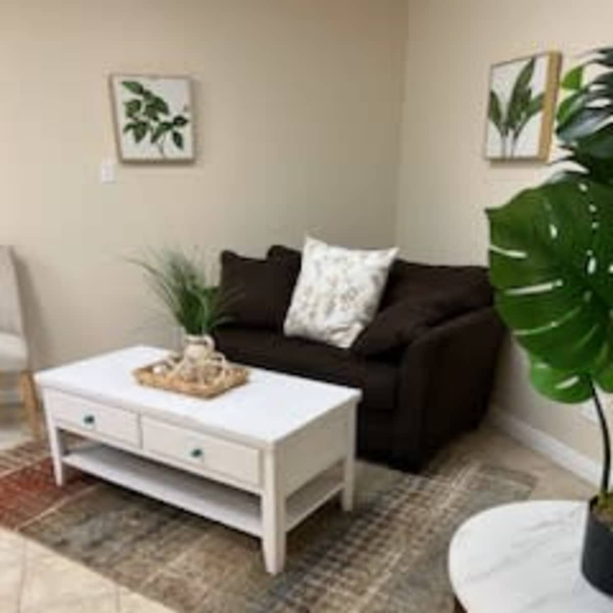 A cozy living room with a brown sofa, a white coffee table with drawers, and decorative plants on a patterned area rug.