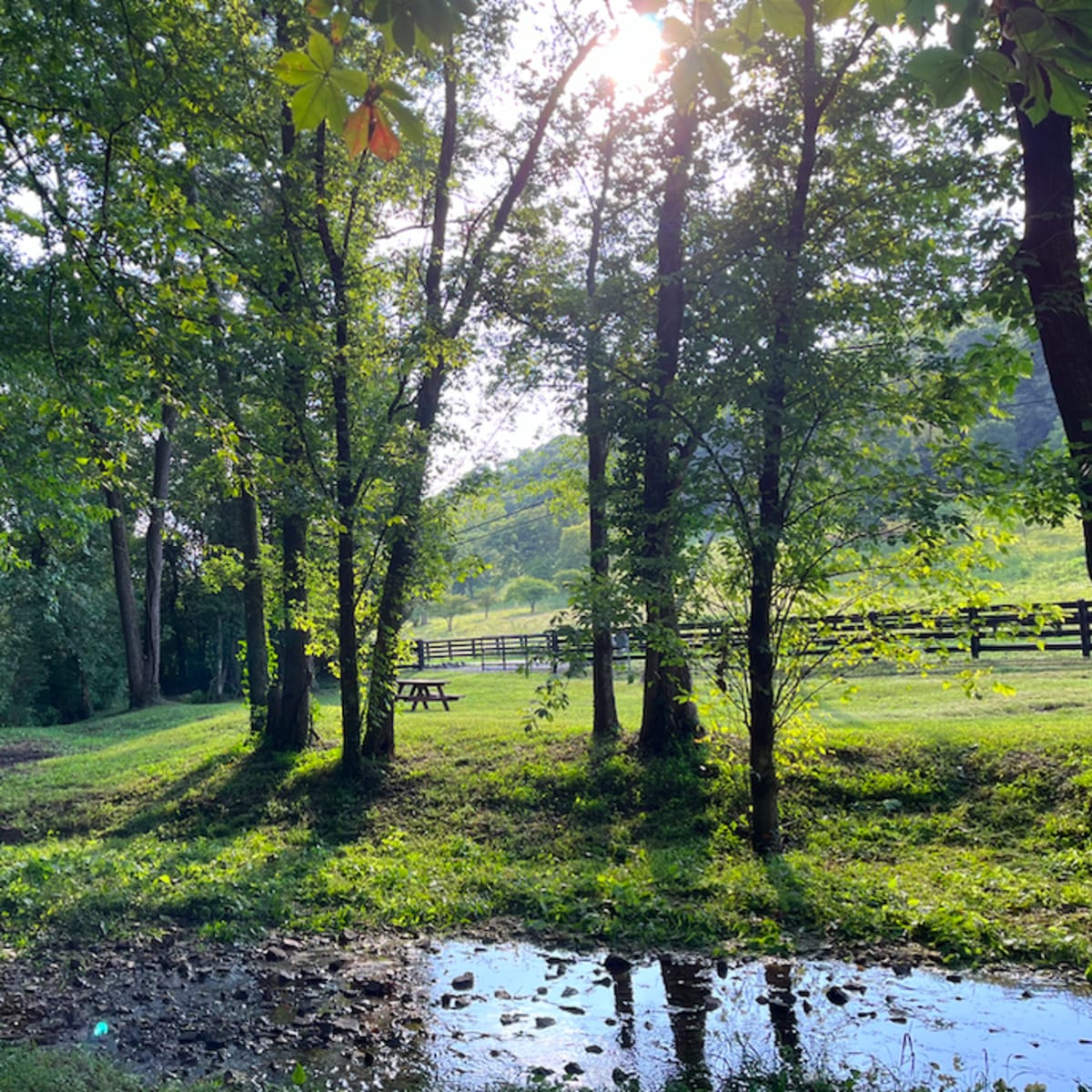 Private Campsite in Nashville - 15 min from Downtown in Nashville Image in Scottsboro, Nashville, TN