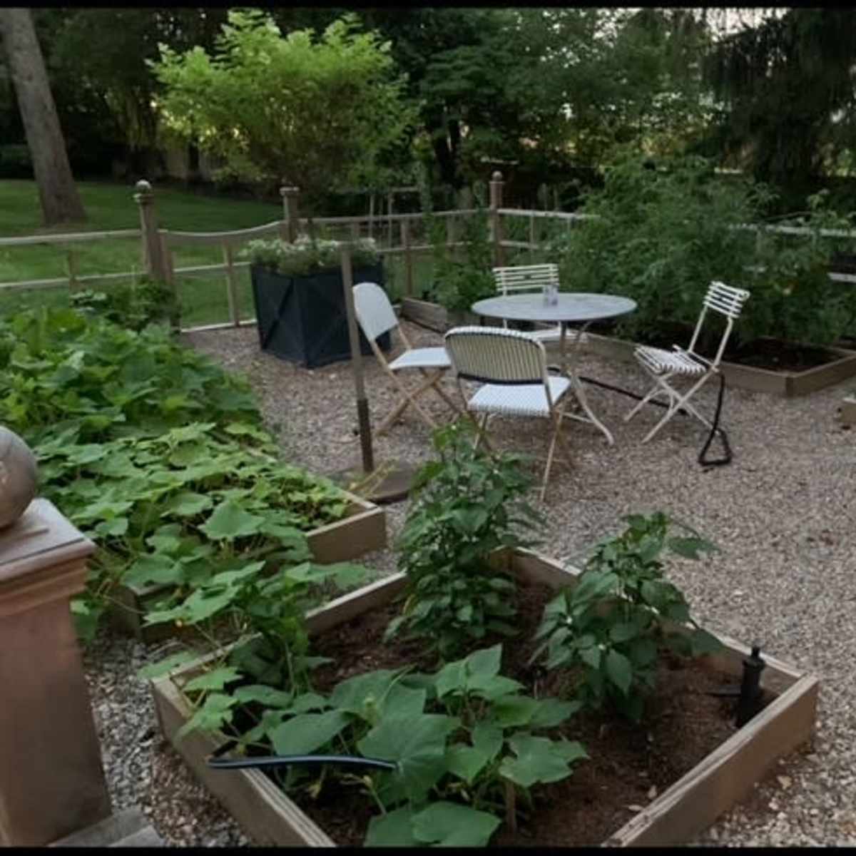 A garden patio area with raised planting beds containing vegetables, a small table and chairs, and greenery in the background.