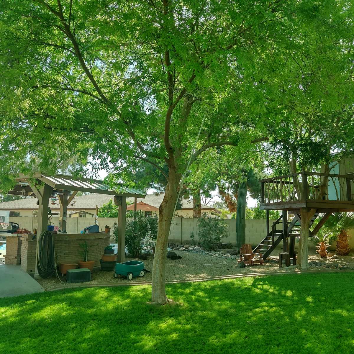 A large green tree provides shade over a backyard with a play structure, a covered seating area, and various outdoor items scattered across the lawn.