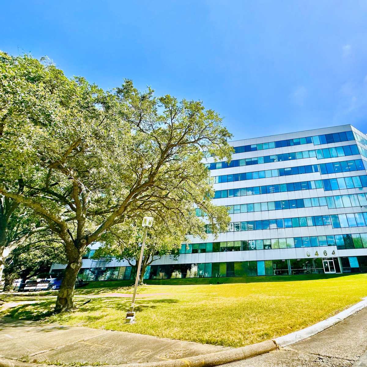 A modern, five-story glass office building is surrounded by green grass and a large tree under a clear blue sky.
