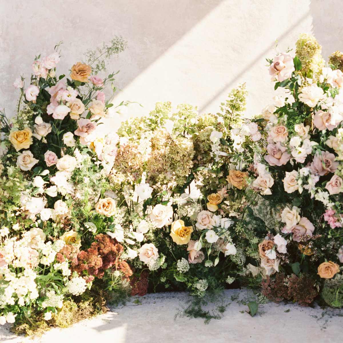 A garden of assorted flowers in shades of pink, yellow, and white is arranged against a textured beige wall, with a diagonal shadow cast across the scene.