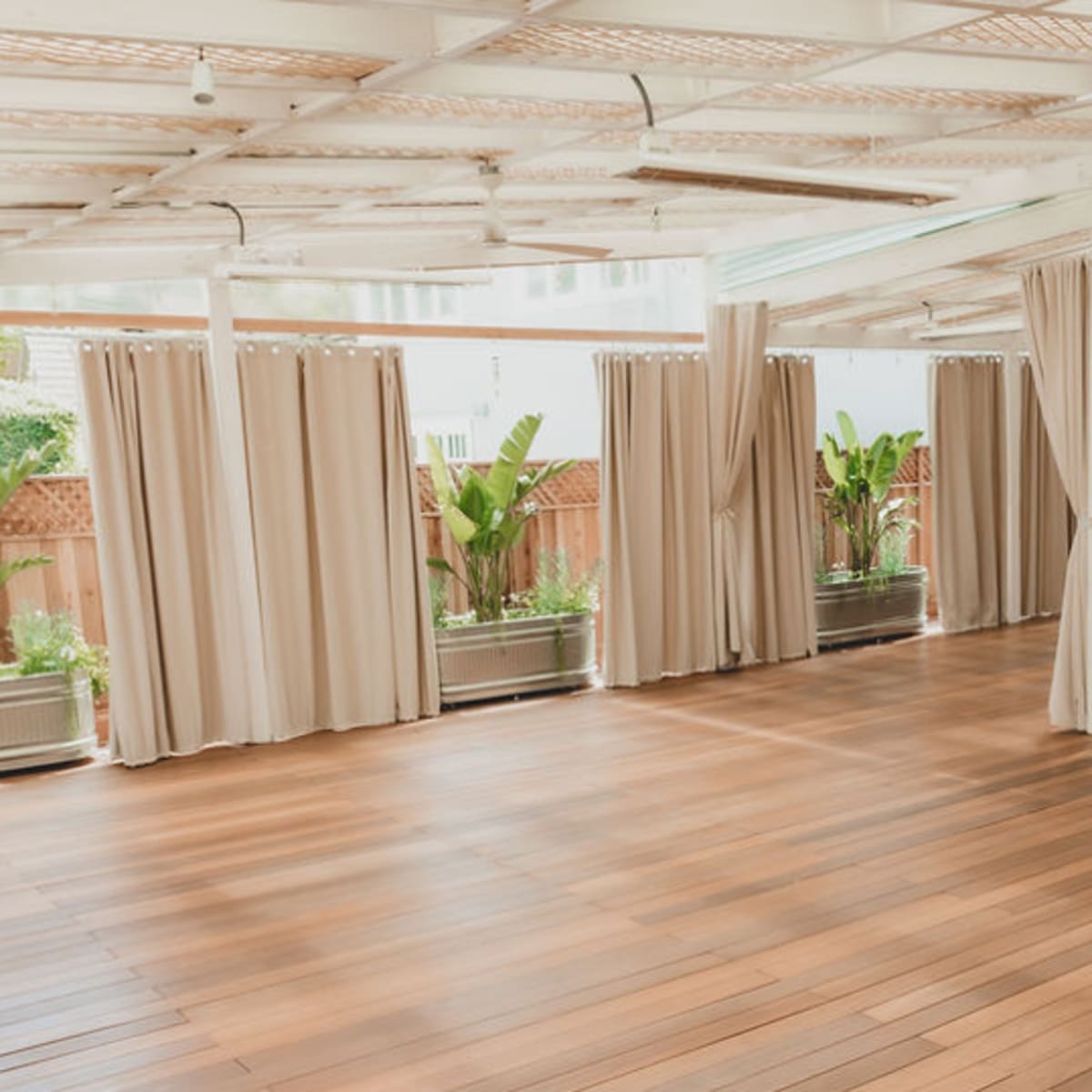The interior space features wooden flooring and large windows with sheer curtains, alongside potted plants arranged in the corners.