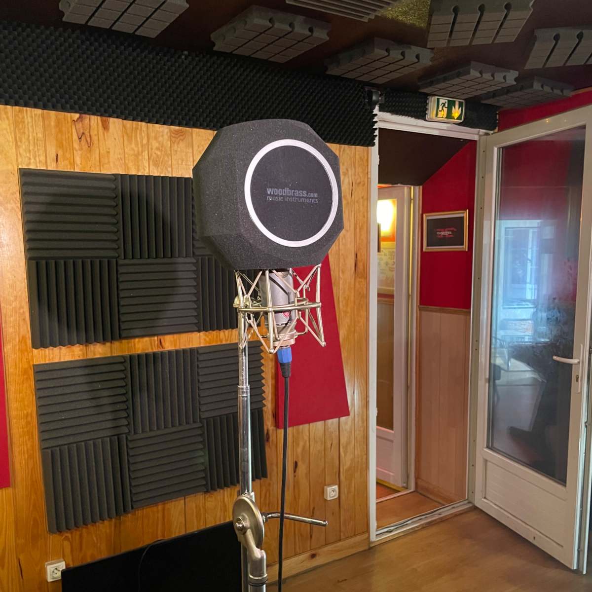 A microphone on a stand in a recording studio, surrounded by soundproofing panels and a partially open door.