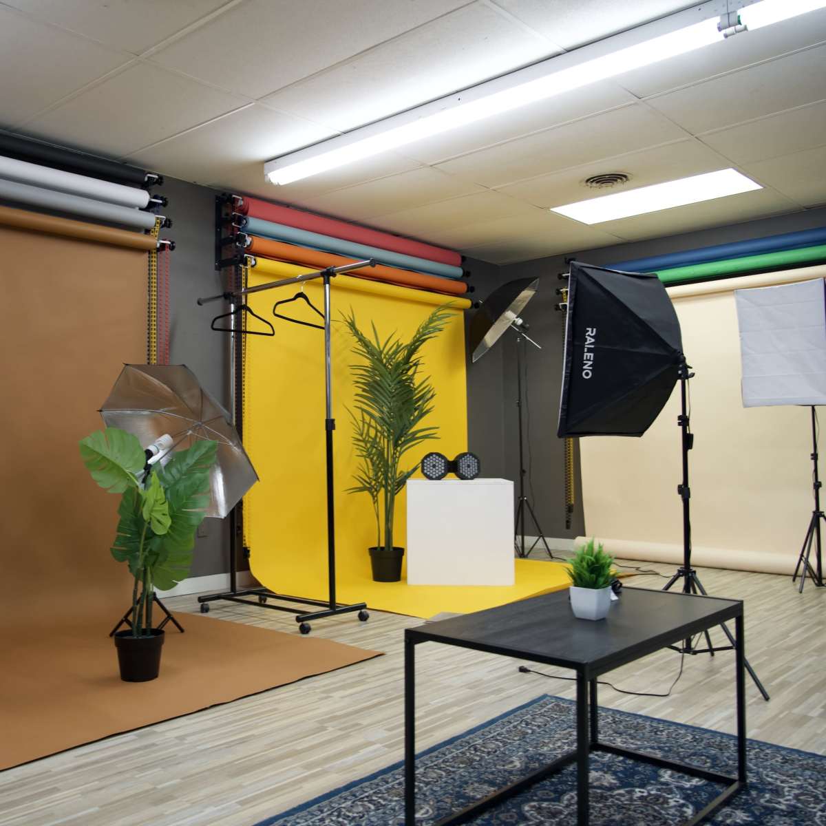 A photography studio with various backdrops, lighting equipment, and a table with decorative plants arranged for a shoot.