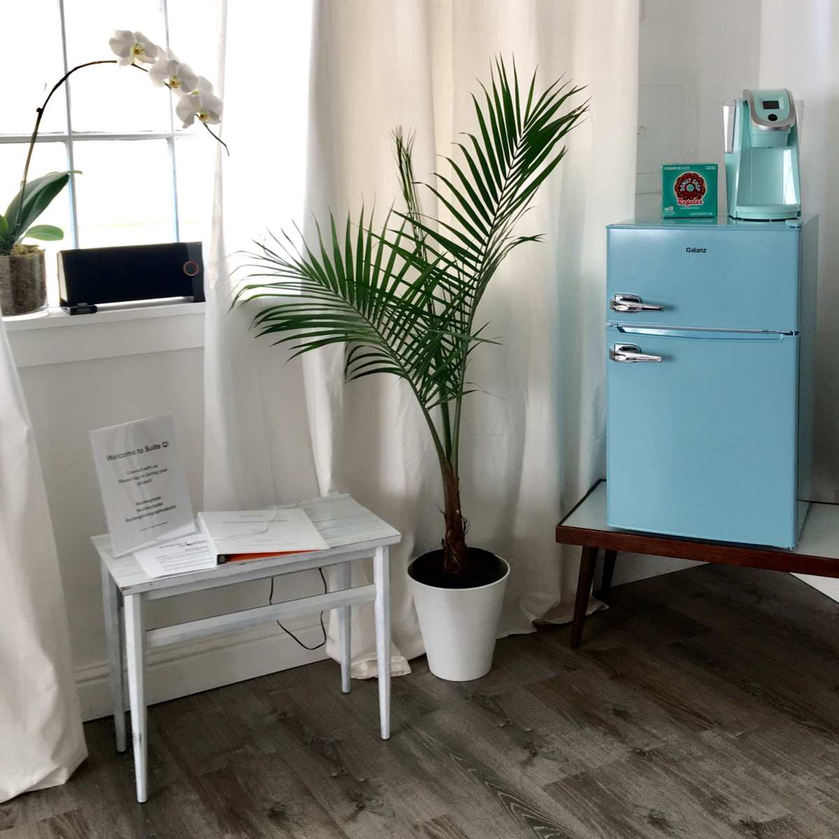 The scene features a light blue refrigerator next to a potted palm plant and a small white table with a sign on it, all arranged in a brightly lit corner by a window.