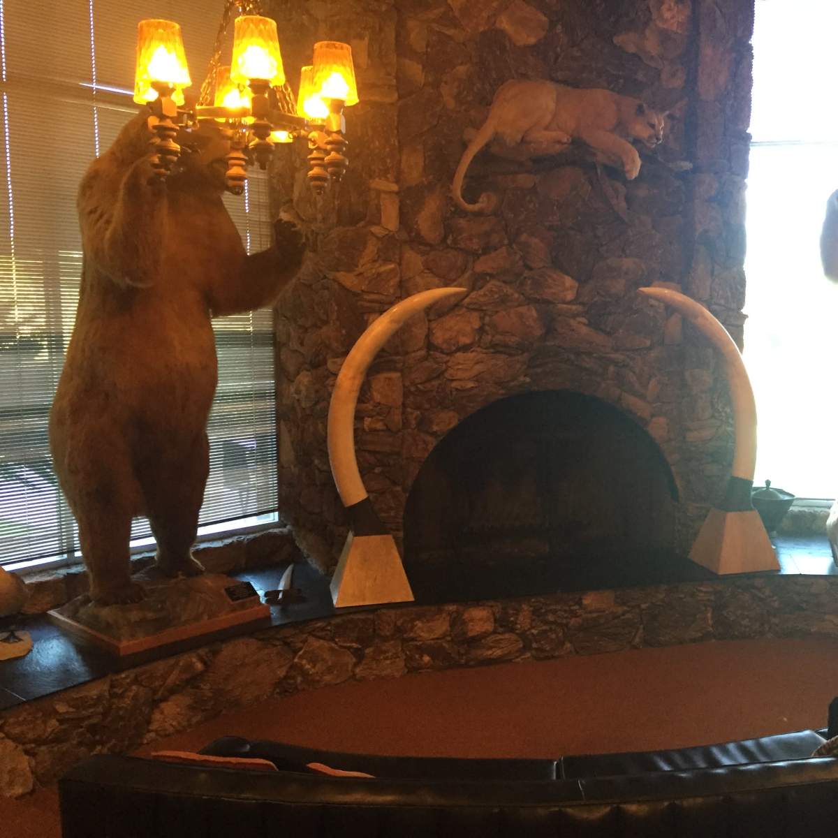 A stone fireplace surrounded by mounted taxidermy bears and a polar bear, with prominent antlers above the mantle.