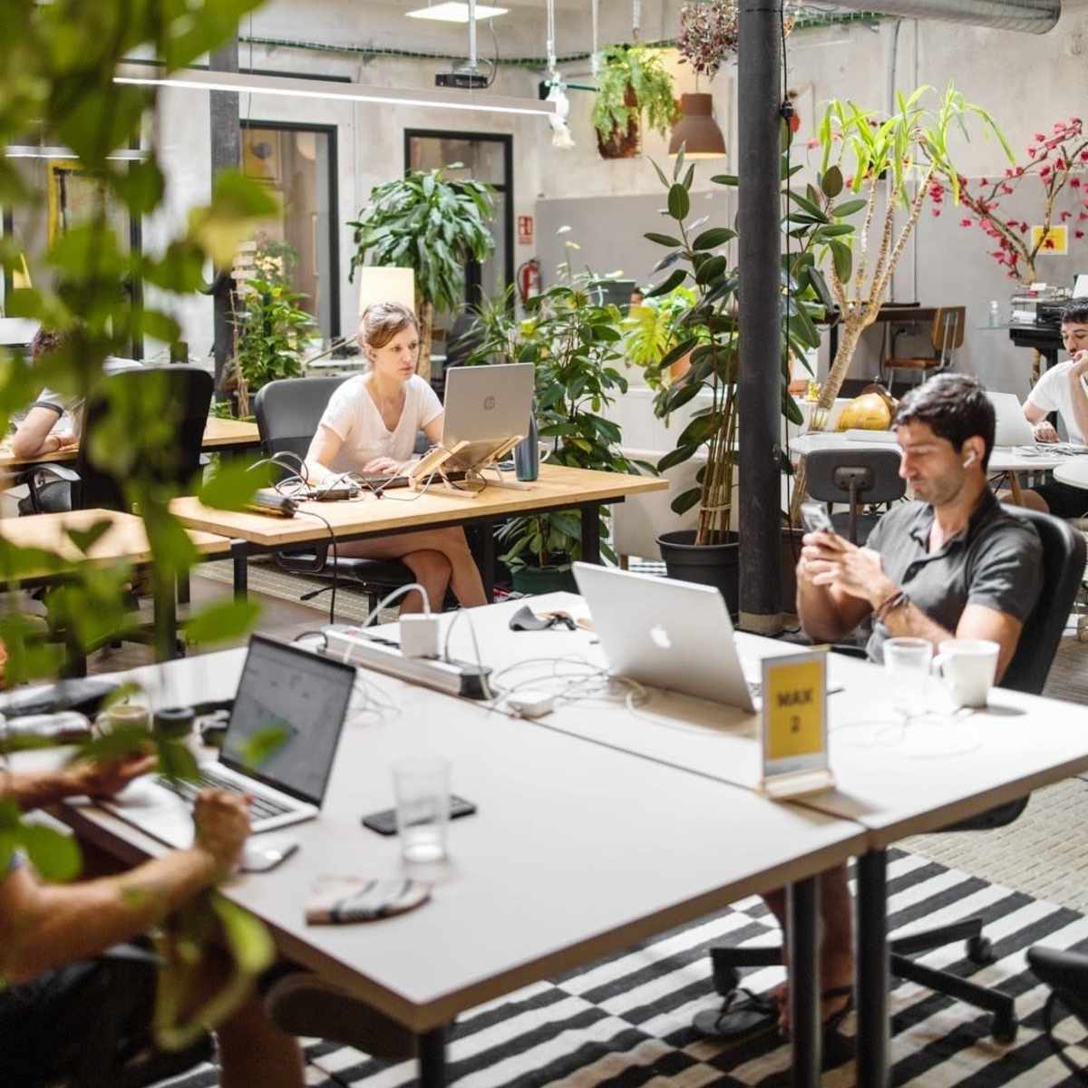 Un Espacio de Coworking Creativo en Montjuic in Barcelona Image in El Poble-sec, Barcelona, B