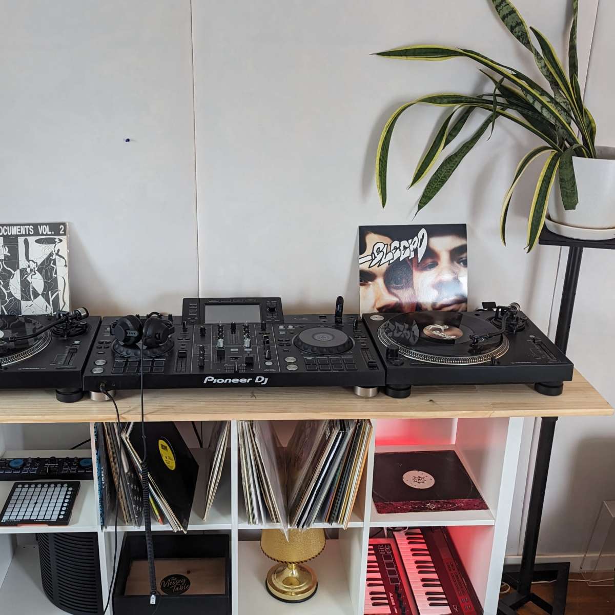 A DJ setup featuring two turntables, a mixer, vinyl records, and a house plant on a shelf against a wall.