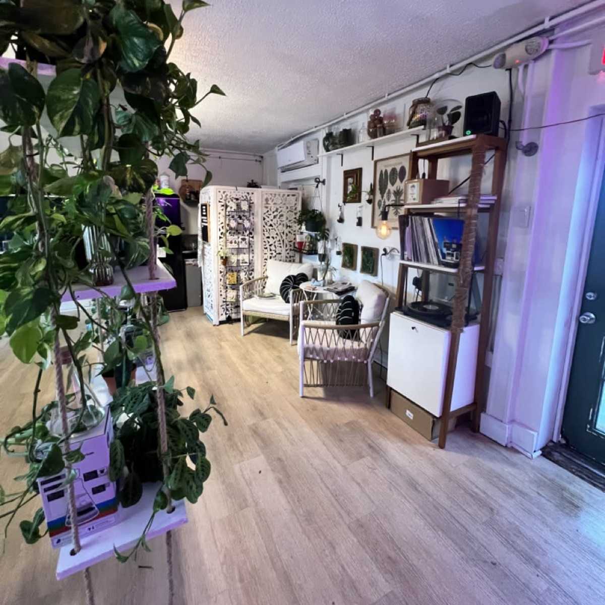 Beachfront Plant Shop & Outdoor Space in Flagler Beach Image in Flagler Beach, Flagler Beach, FL