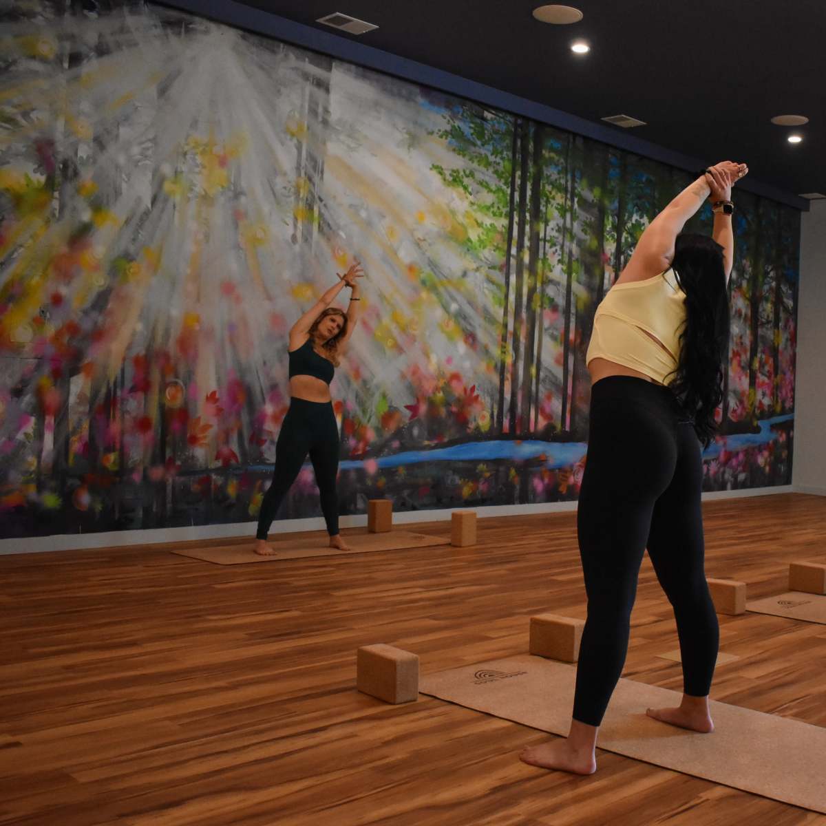 Bright, Artistic Wellness Studio & Spa – Perfect for Photoshoots, Events & Workshops in Chicago Image in Near West Side, Chicago, IL