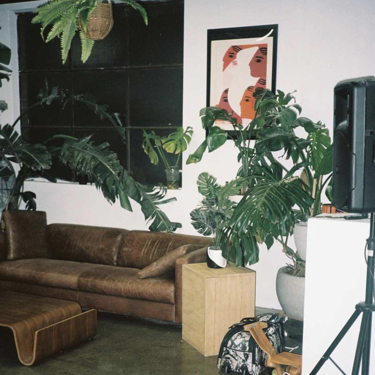 A cozy indoor space featuring a leather sofa, a wooden coffee table, various potted plants, a speaker, and a framed artwork on the wall.