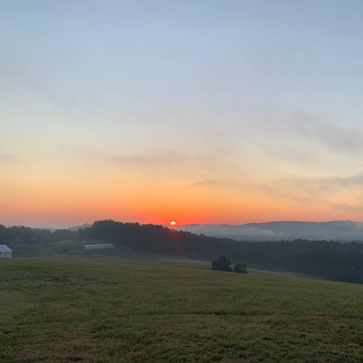 A sunrise casts a soft light over a green field and distant hills.