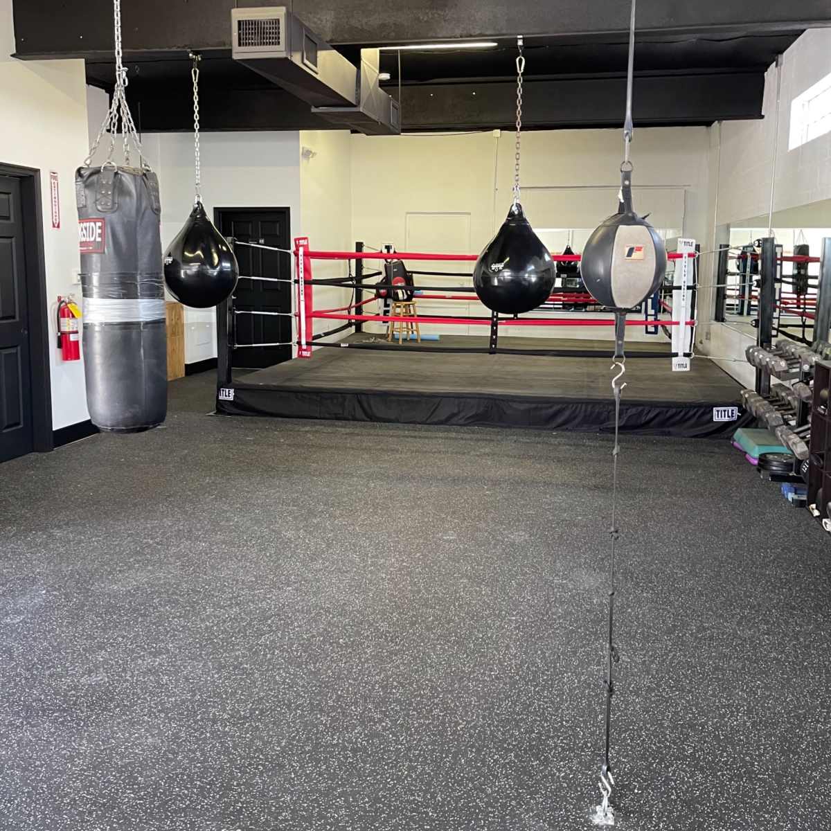 A boxing gym featuring a boxing ring in the center, a heavy bag hanging from the ceiling, and two speed bags on either side.