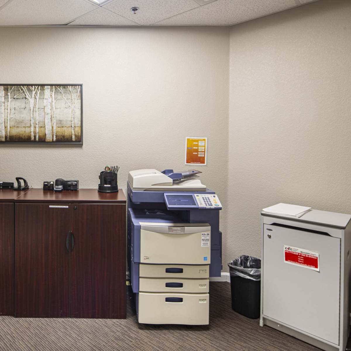 An office corner featuring a wooden cabinet, a printer, a trash bin, and a framed piece of wall art depicting trees.