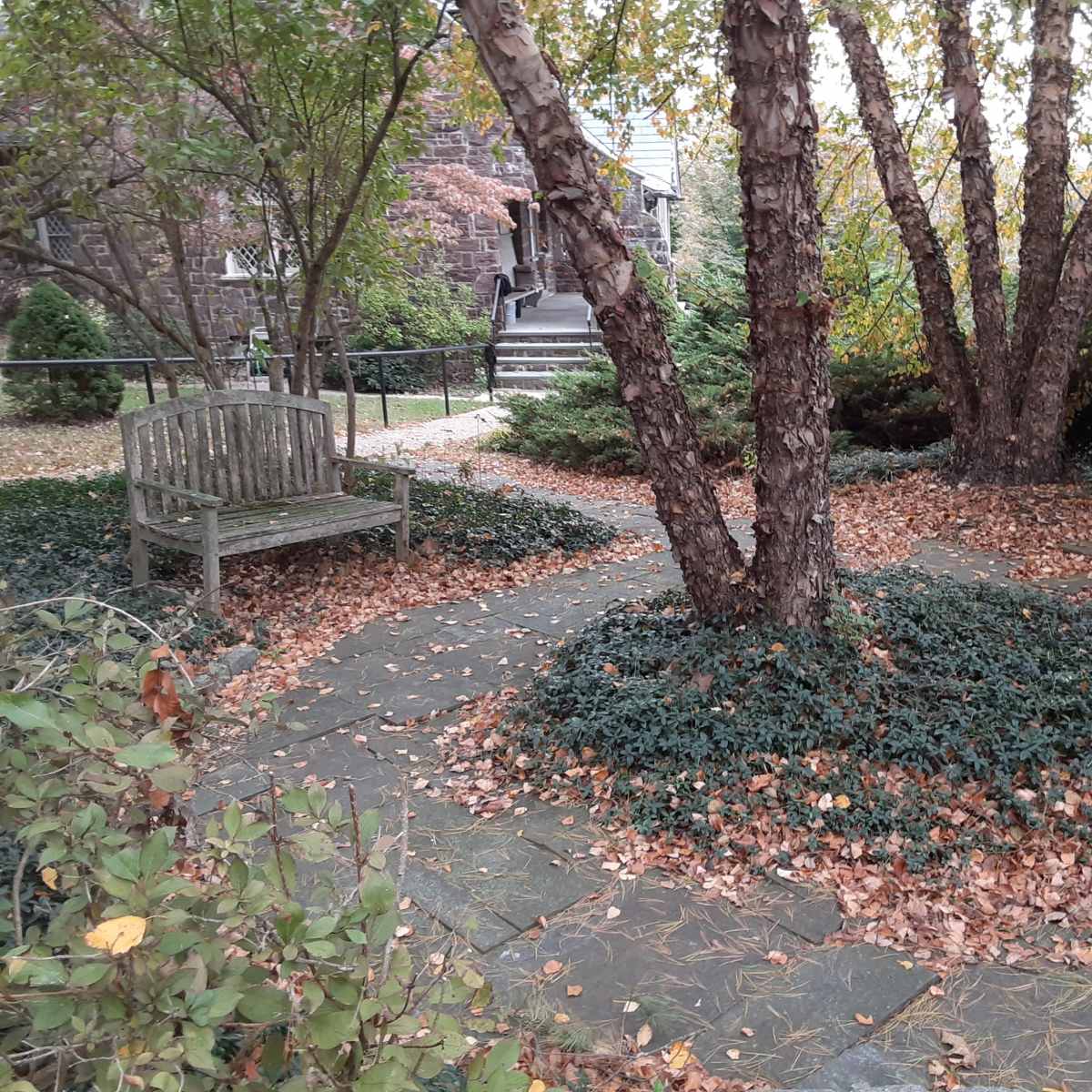 The scene features a small garden with two wooden benches surrounded by fallen leaves and a circular patch of greenery around a tree.