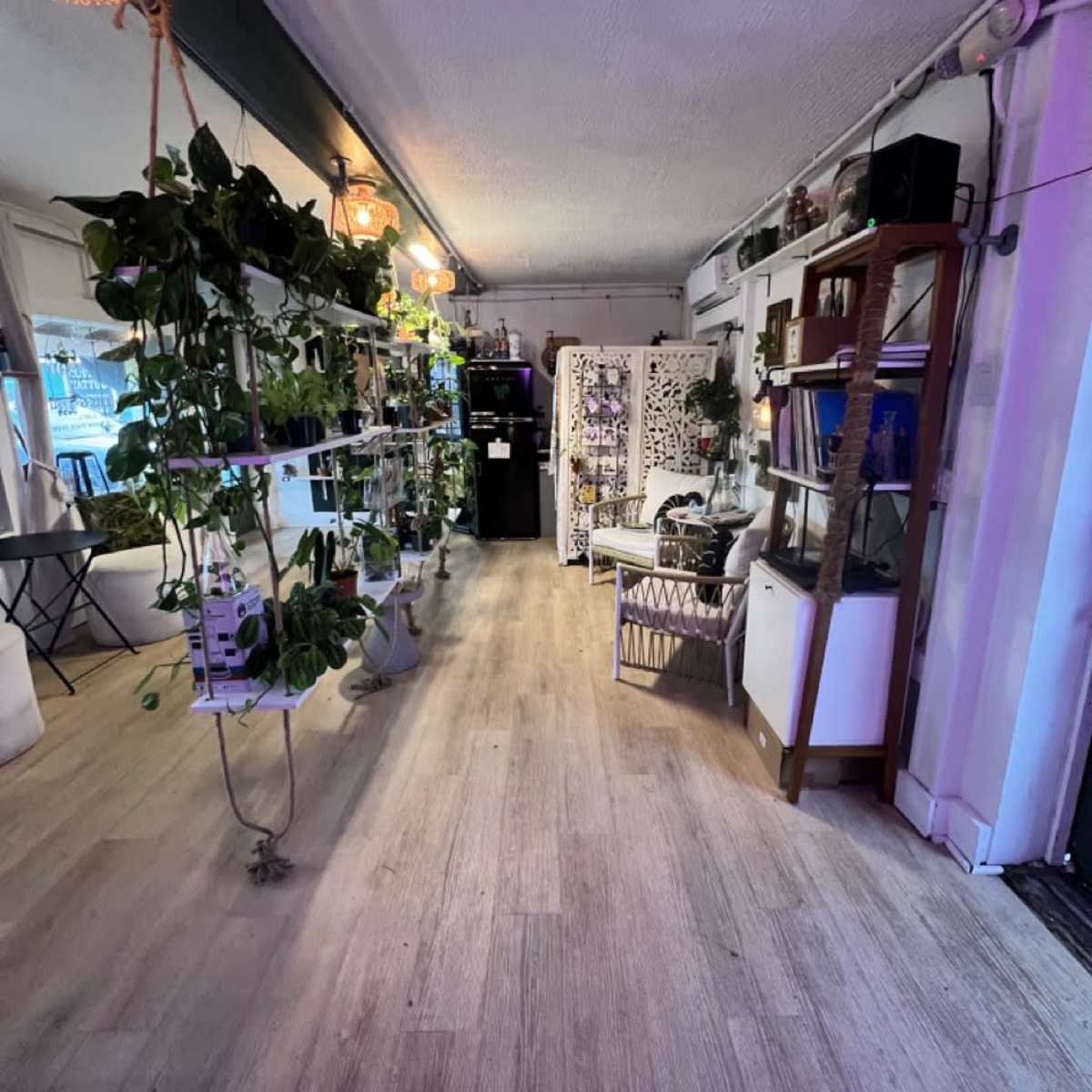 Beachfront Plant Shop & Outdoor Space in Flagler Beach Image in Flagler Beach, Flagler Beach, FL