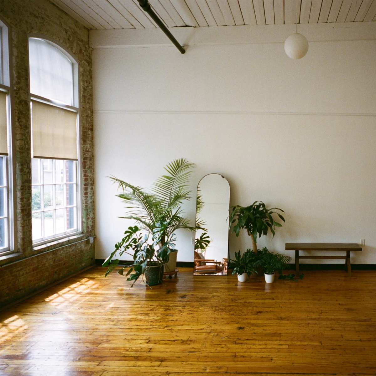 A spacious room with large windows, wooden floors, a mirror, various potted plants, and a metal shelf filled with items.