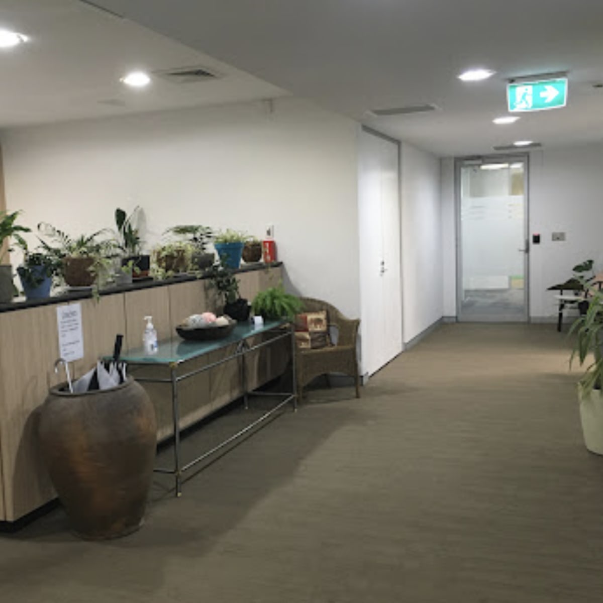 A well-lit office corridor with a reception area featuring various indoor plants and a small seating arrangement.