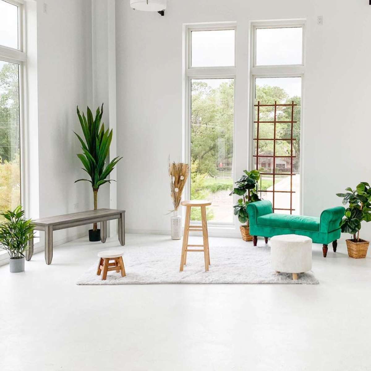 A bright, minimalist room features a green couch, a wooden stool, a small round table, and various plants arranged around a white rug.