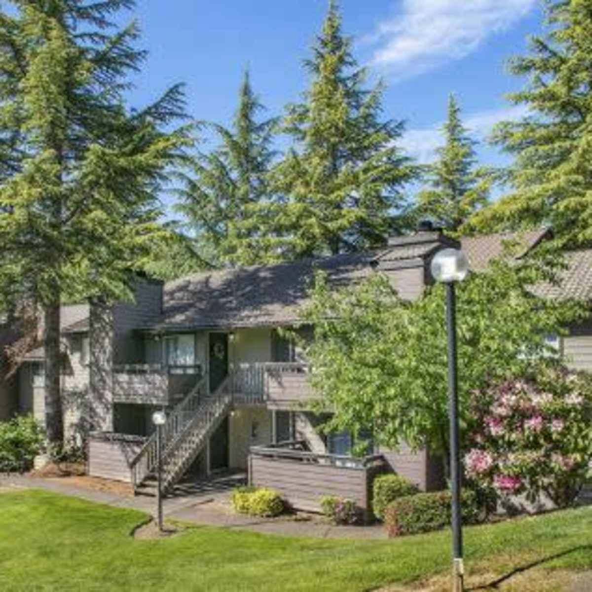 A cluster of two-story apartment buildings surrounded by tall evergreen trees and well-maintained landscaping.