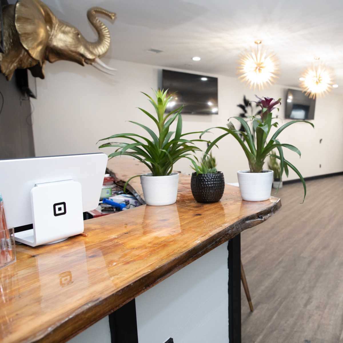 A reception area with a wooden counter, several potted plants, and decorative lighting fixtures along a hallway leading to other rooms.