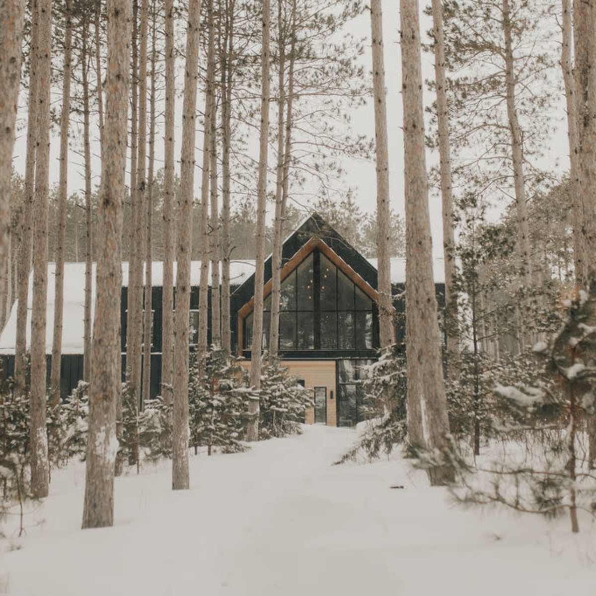 A modern house with large windows stands among tall pine trees in a snowy landscape.