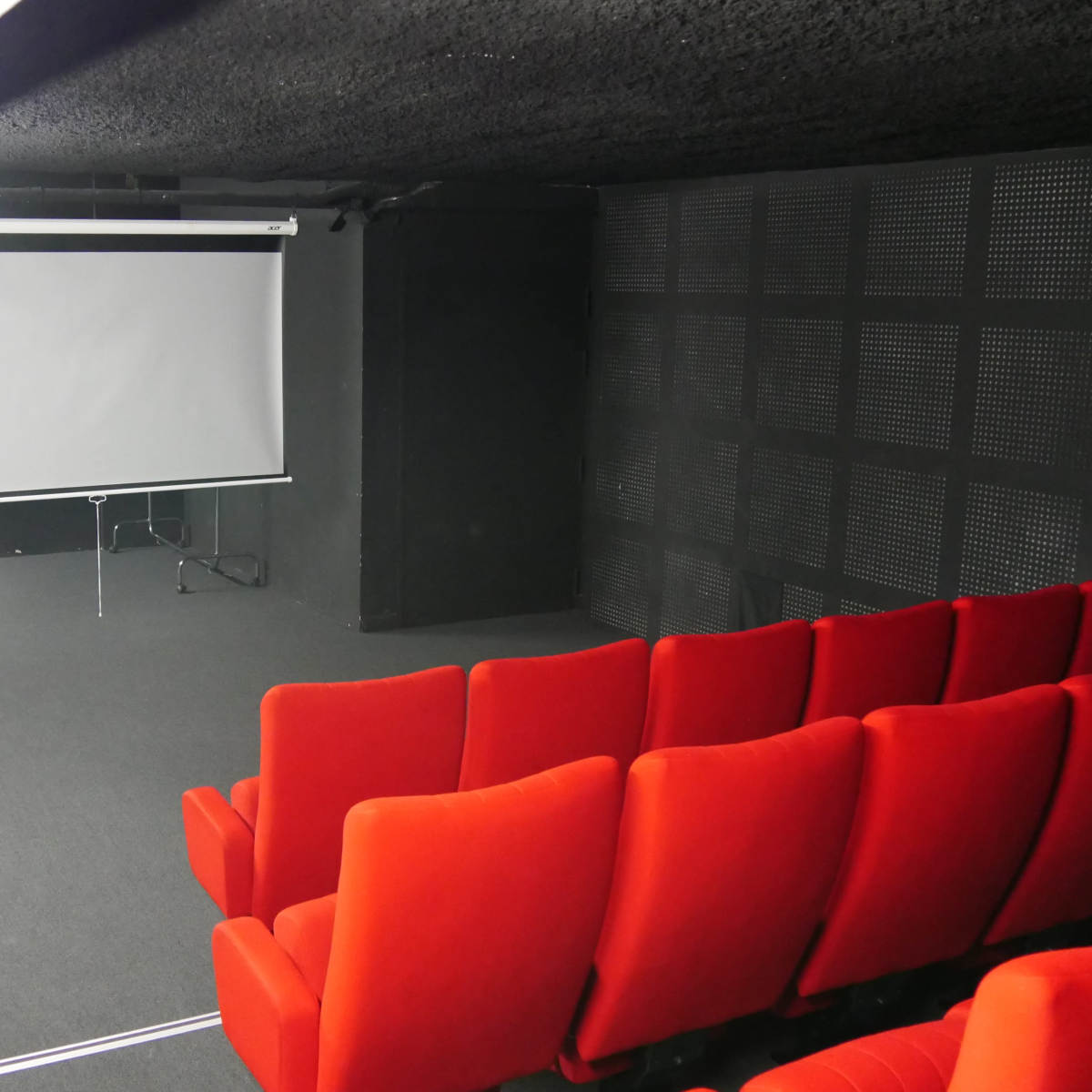 A small, darkened presentation room features red seating arranged in rows facing a pull-down screen.