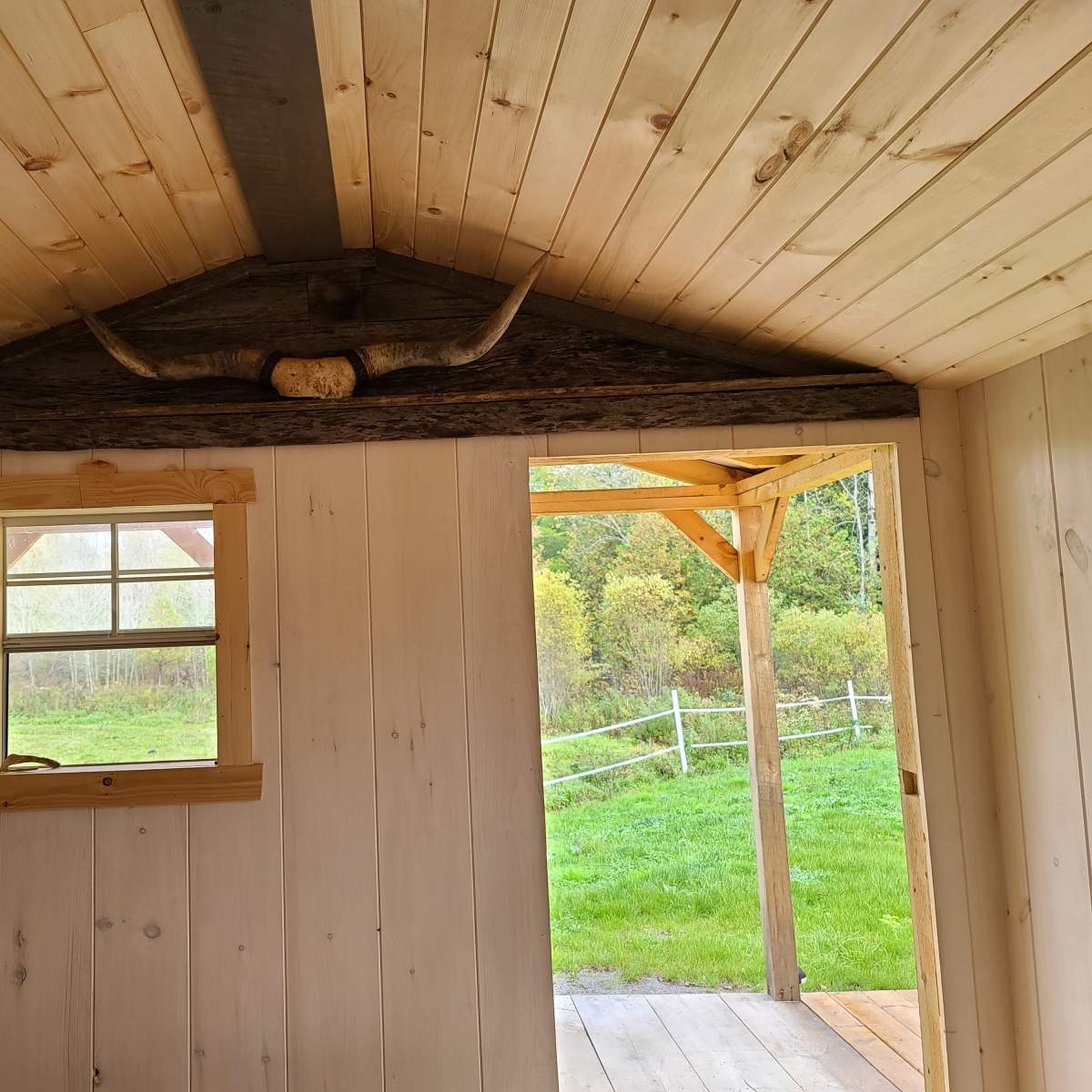 The interior of a wooden structure features a wooden beam with a pair of bullhorns mounted above a window, while a door opens to a grassy outdoor area.