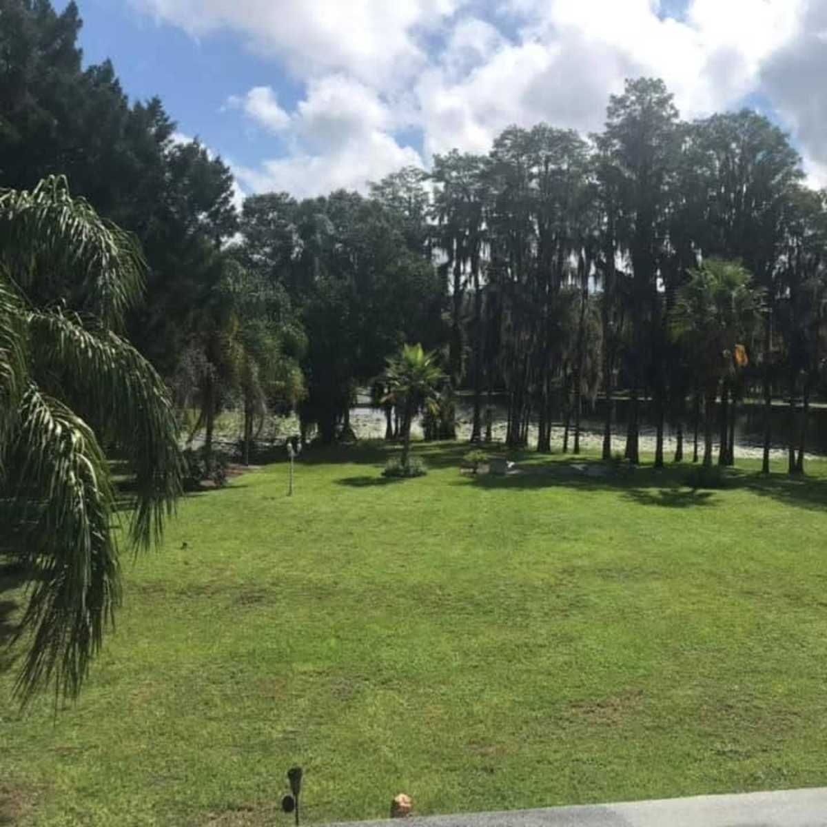 Outdoor Oasis in Odessa on the Lake in Odessa Image in Keystone, Odessa, FL