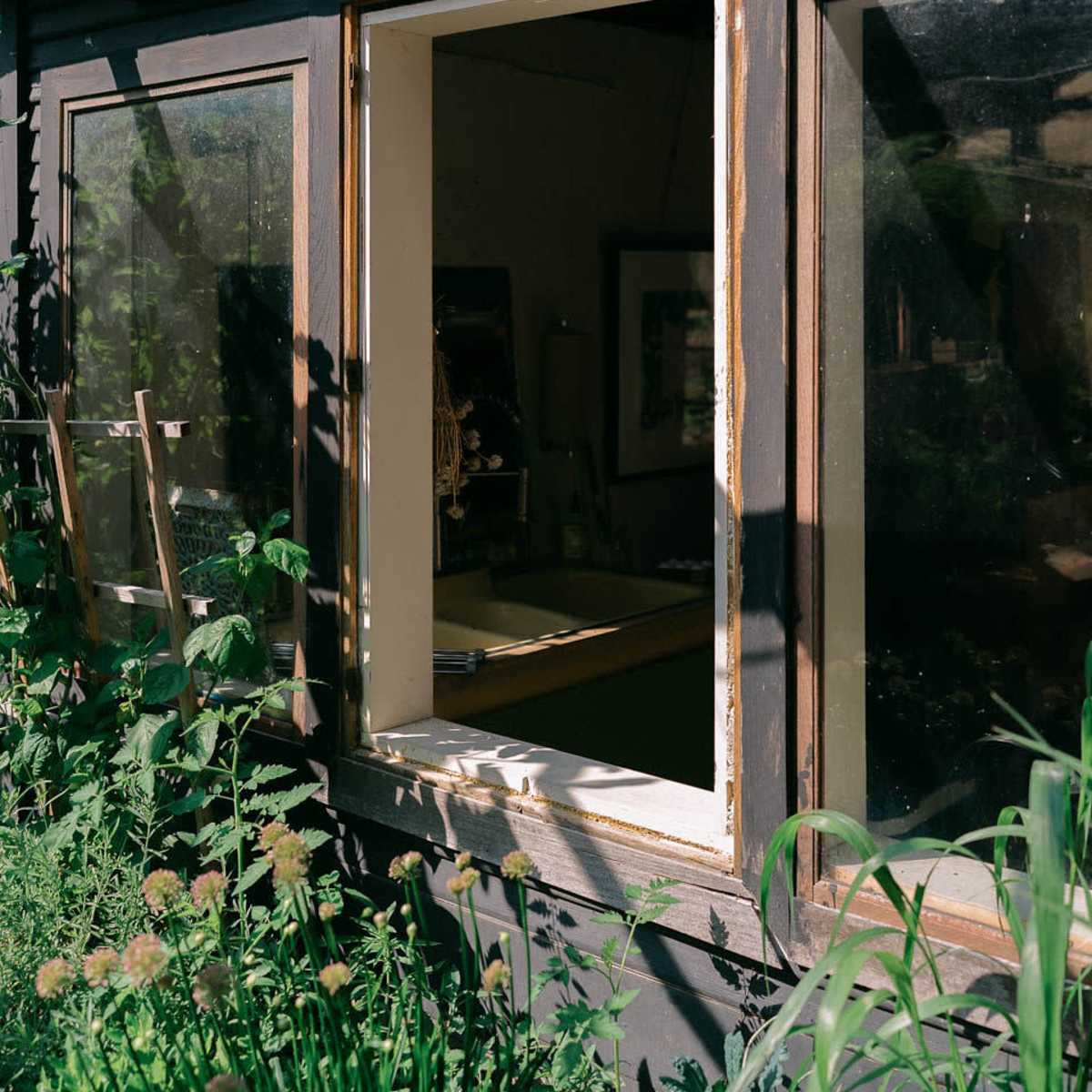 A partially open window reveals an indoor space surrounded by lush greenery.