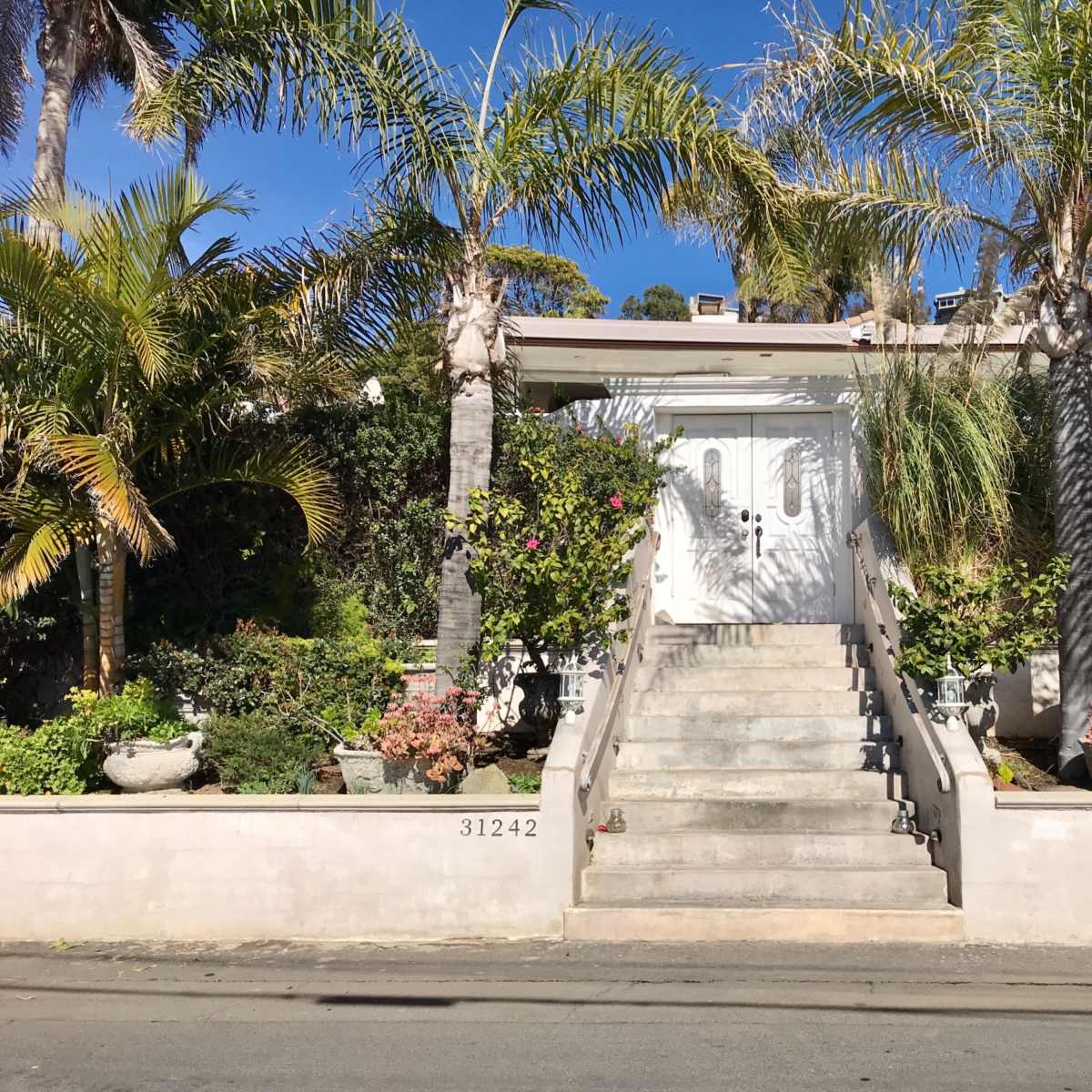 A white front door is framed by palm trees and lush greenery, with a wide staircase leading up to it.