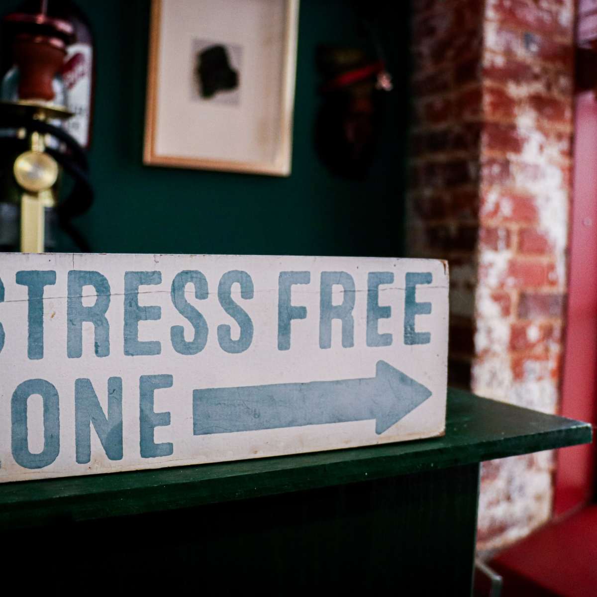 A wooden sign that reads "STRESS FREE ZONE" with an arrow pointing to the right, placed against a green wall near a window.