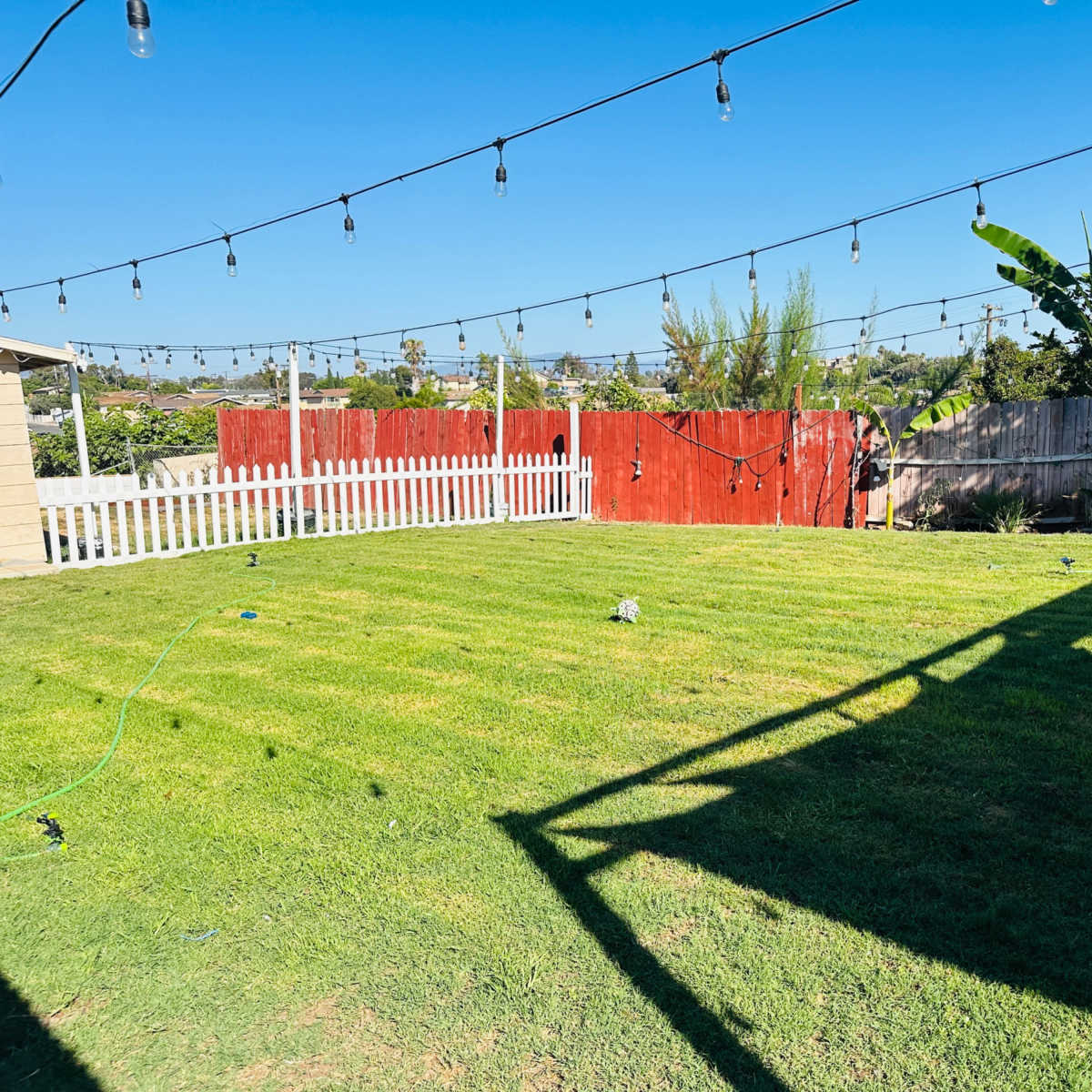 A green lawn in a backyard with string lights overhead and a red wooden fence in the background.