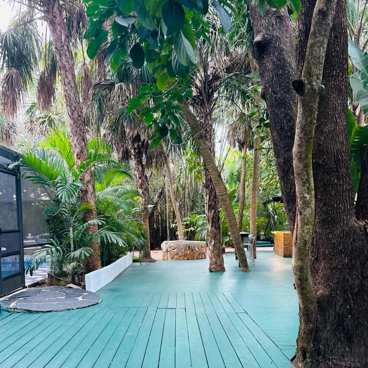 A wooden deck surrounded by lush tropical vegetation and tall trees.