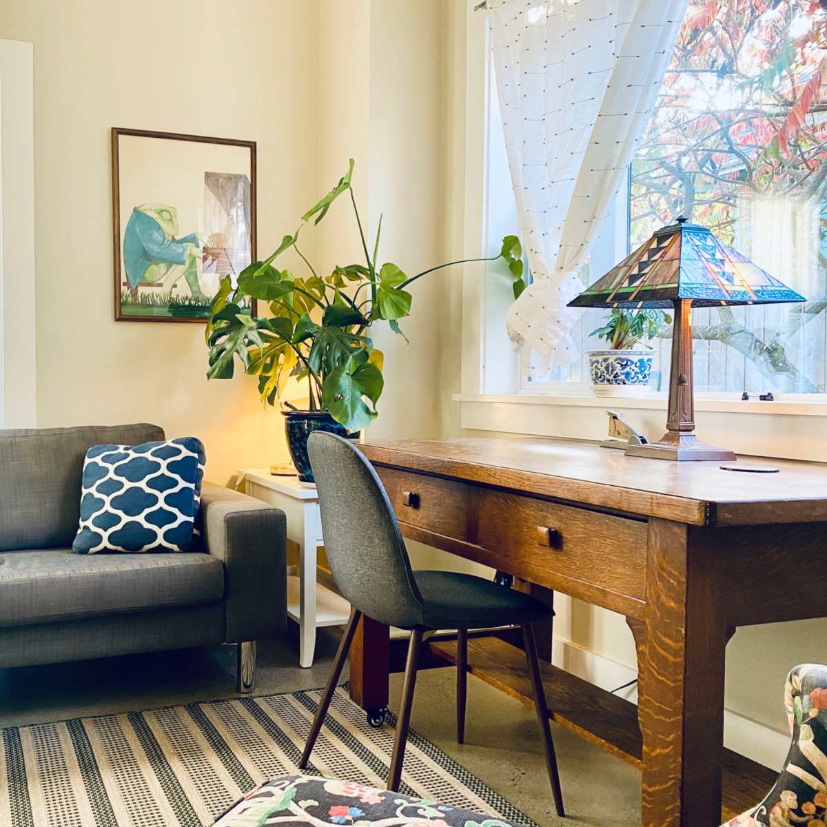 A cozy living room features a gray sofa with decorative pillows, a wooden desk with a chair, and a large potted plant beside a window with sheer curtains.