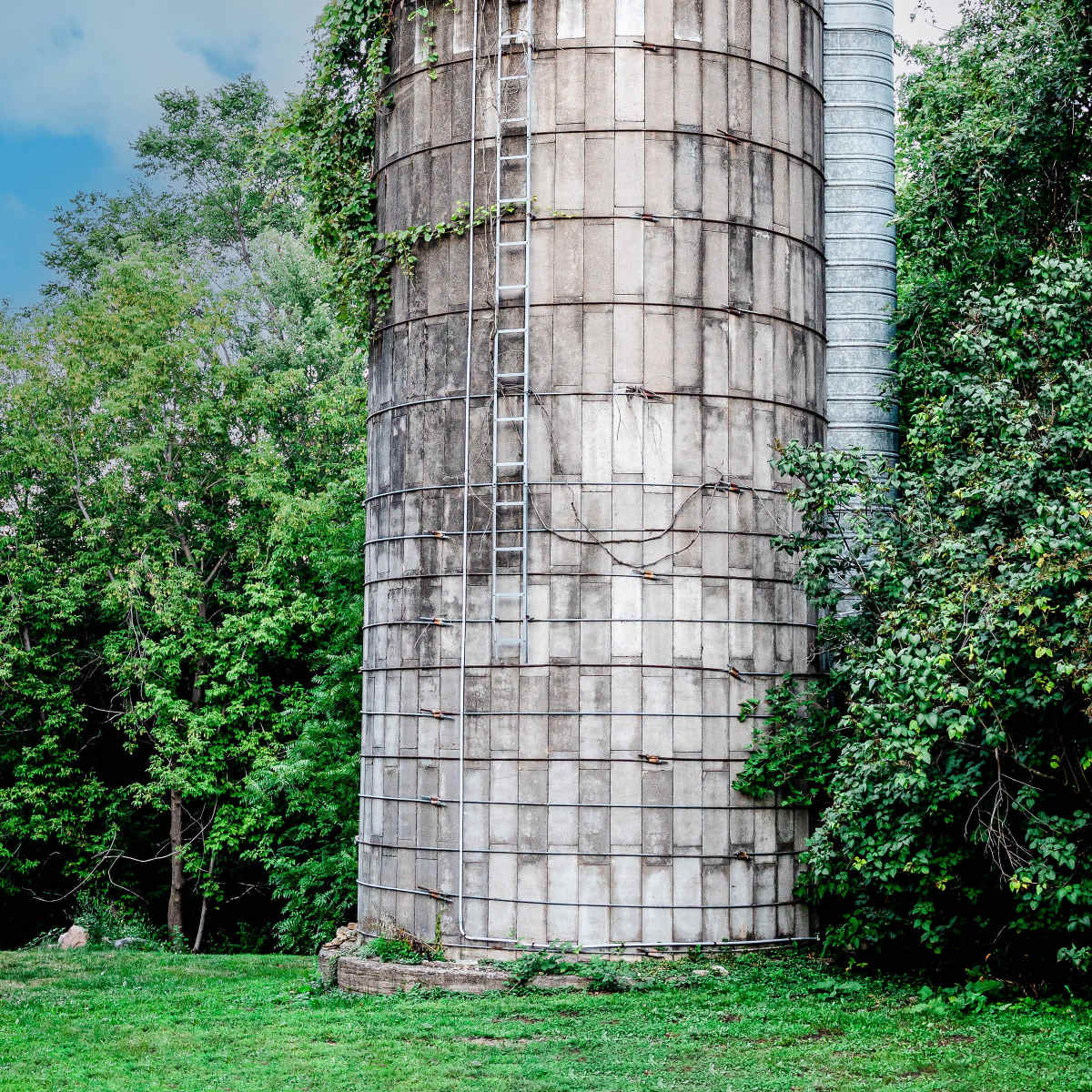 A cylindrical silo, covered in green vines, stands next to a cluster of trees under a cloudy sky.